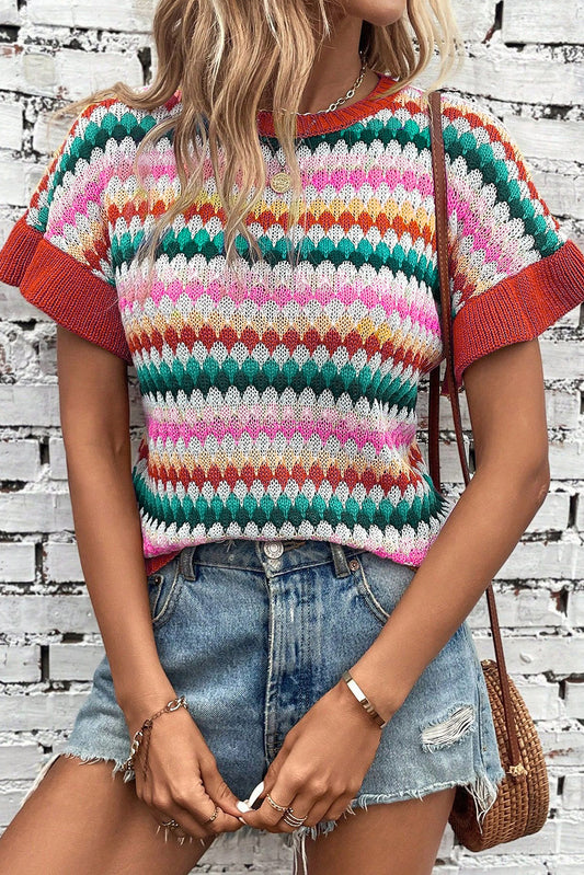 Trimmed Colorful Textured Sweater Top